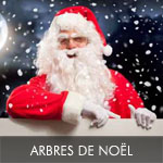 Spectacles pour Arbres de noel - Didier Ledda